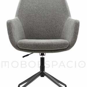 OHV-2005gris