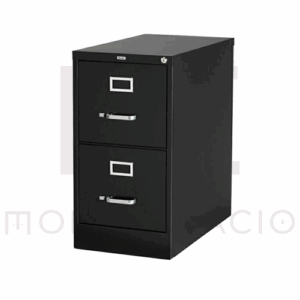 ARCHIVERO METALICO VERTICAL TAMAÑO CARTA 2 GAVETAS
