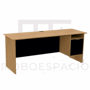 ESCRITORIO CON PUERTA 180 X 60 CM