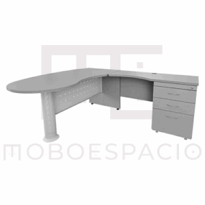 MODULO ELITE OPERATIVO REGGIO DERECHO
