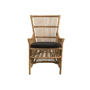 DAVINCI NATURAL C A